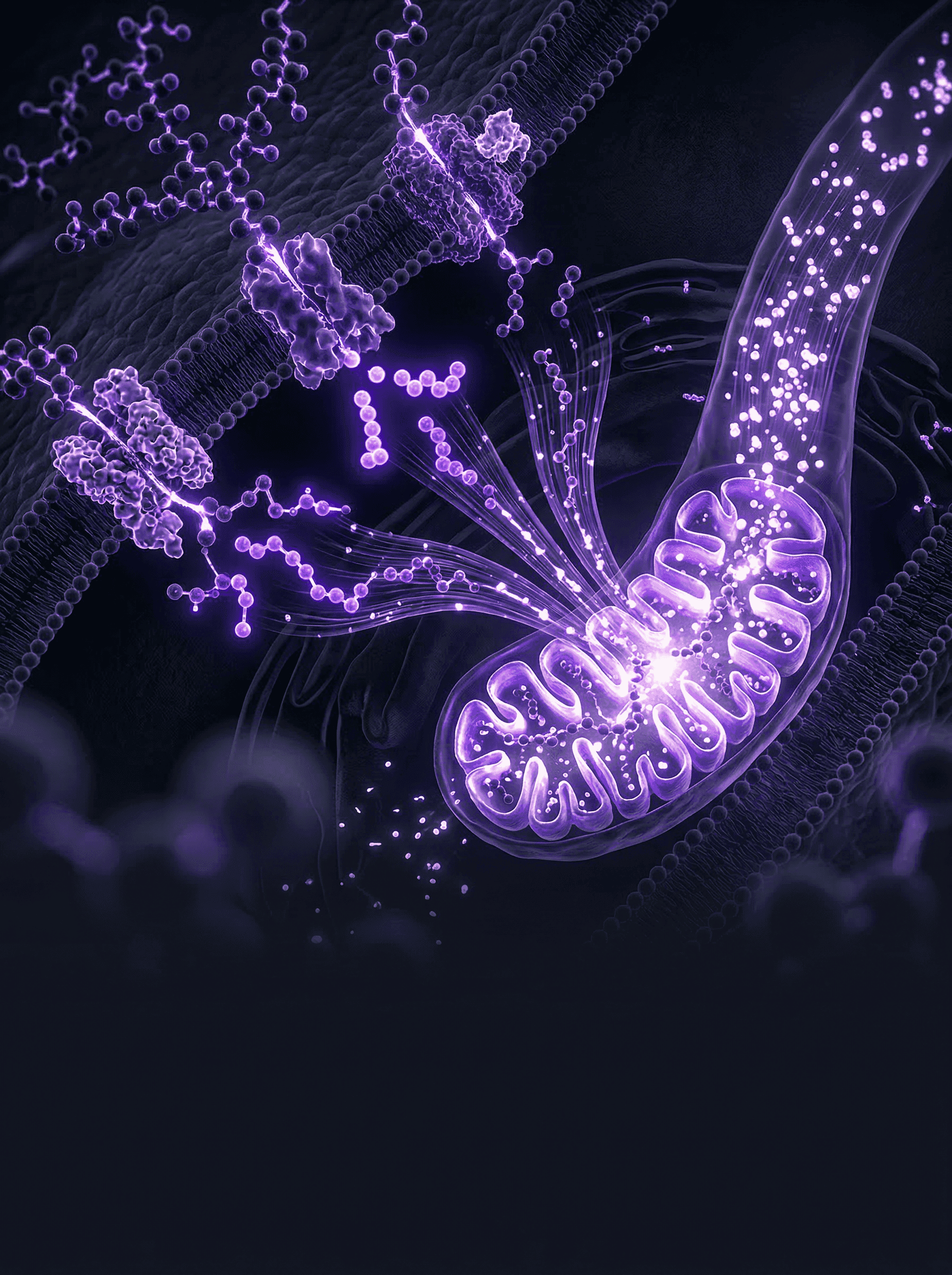 Fat metabolism science